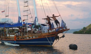 Solid Surf Boat, Canggu, Bali
