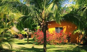 El Ranchito Surfcamp, Guanico, Panama