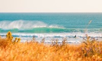 Surfen lernen in Andalusien
