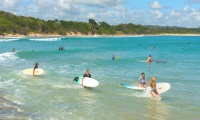 Surfen lernen in Australien