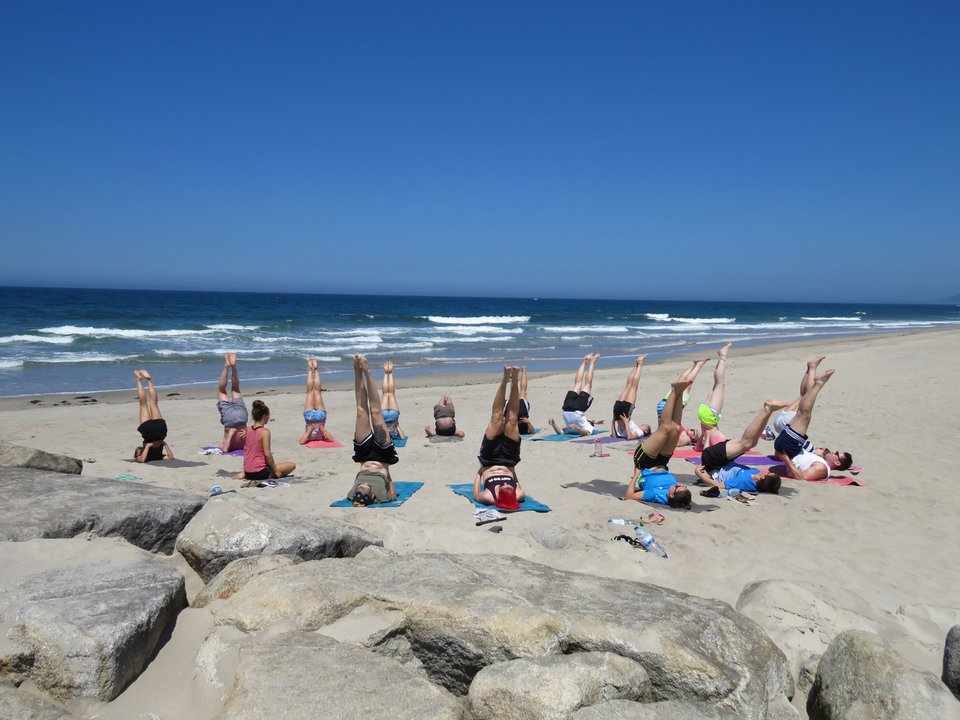 welementfish surfcamp am strand portugal esposende yoga