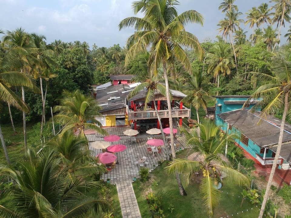 Mellow Hostel Surfcamp Sri lanka Ahangama im Dschungel