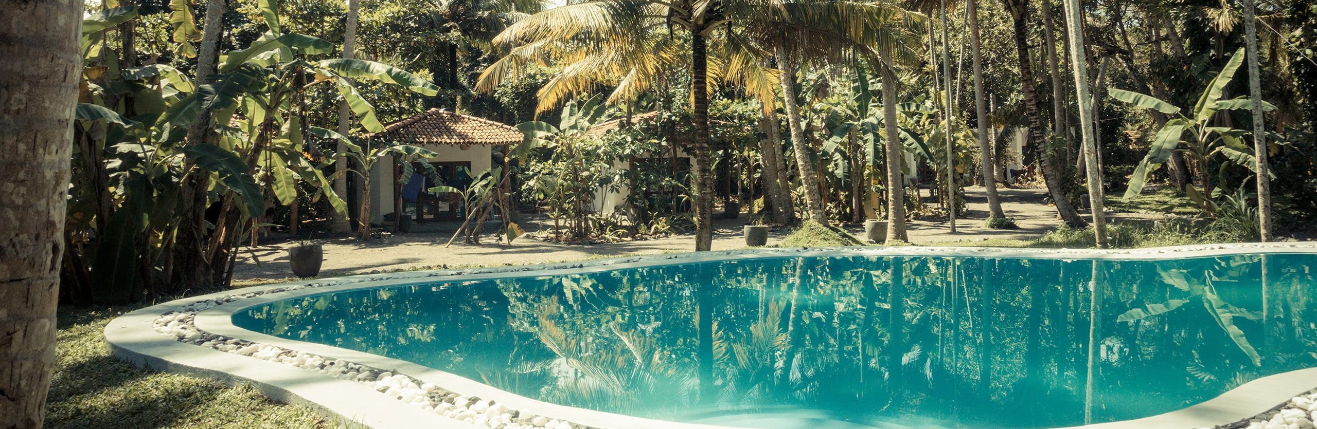 Drivethru Surfcamp Madiha Sri Lanka pool und garten