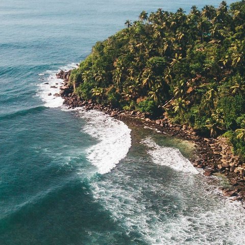Perfekte Wellen zum surfen auf Sri Lanka