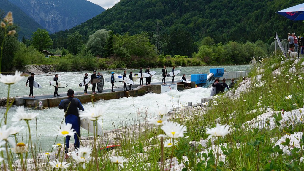 The Riverwave Ebensee