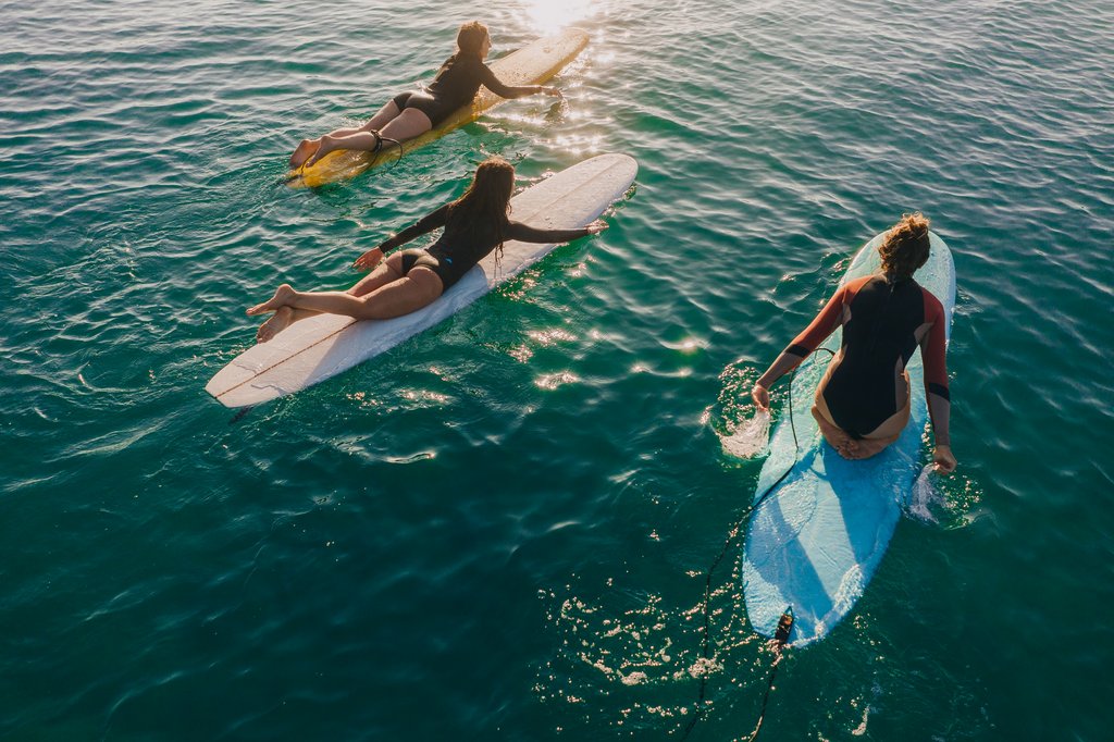 Von unten sehen Surfer aus wie Robben