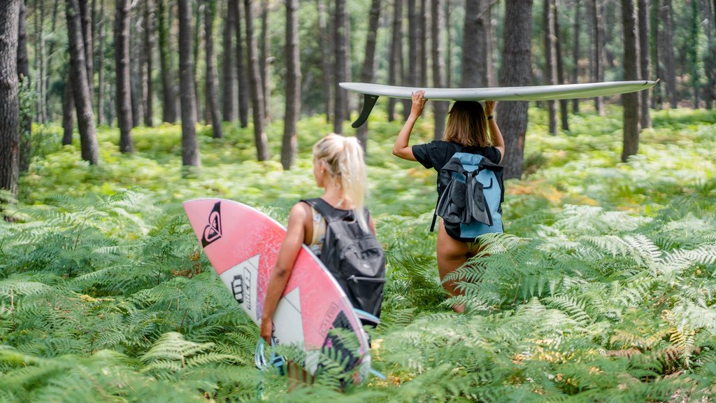 Zwei Mädchen tragen ihre Surfbretter durch einen Pinienwald