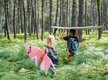 Zwei Mädchen tragen ihre Surfbretter durch einen Pinienwald