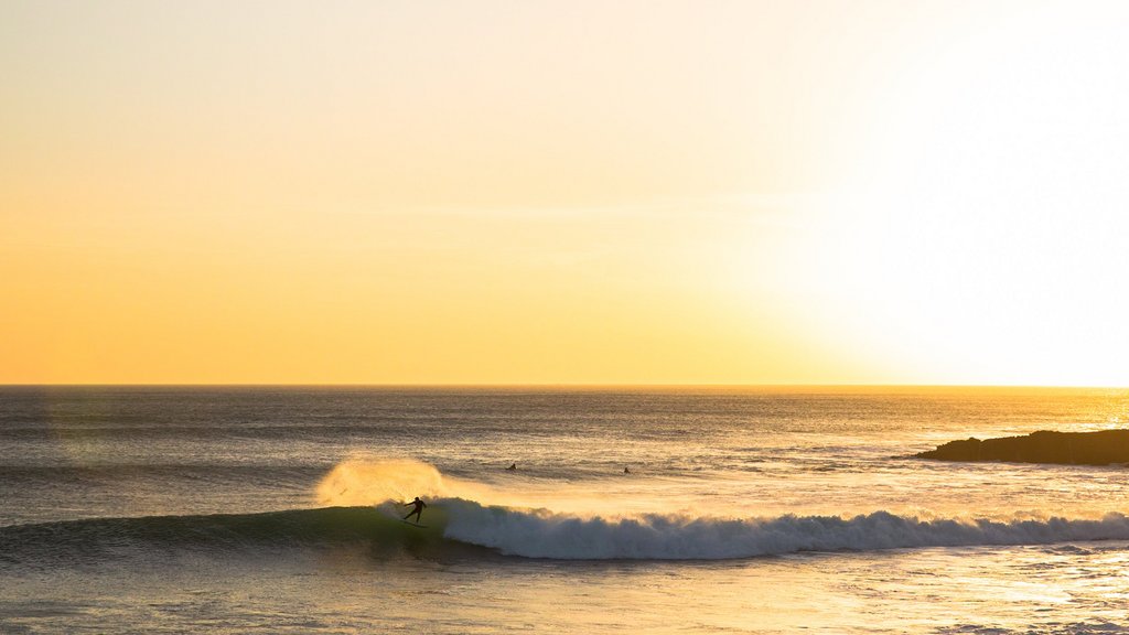 Ein Surfer surft eine grüne Welle in goldenem Sonnenlicht