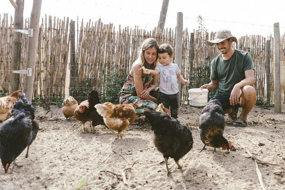 Familie beim Füttern von Hühnern erlebt Nachhaltigkeit