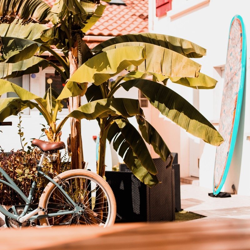 Surfblend Surfbase Vieux Boceau Surfcamp in Frankreich Surfblend Surfbase Vieux Boceau Surfcamp in Frankreich