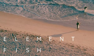 ElementFish Surfcamp, Antas, Portugal ElementFish Surfcamp, Antas, Portugal