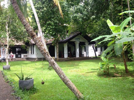 Drivethru Surfcamp Madiha Sri Lanka villa