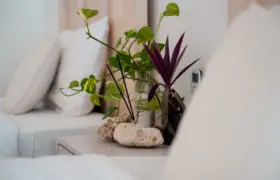 3er Mehrbettzimmer mit Bad im Beachfront Surfcamp Sri Lanka