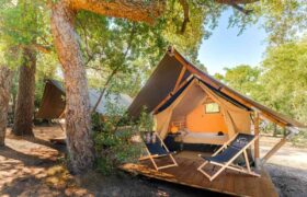 Premium Zelt im Safari-Style auf Holzboden