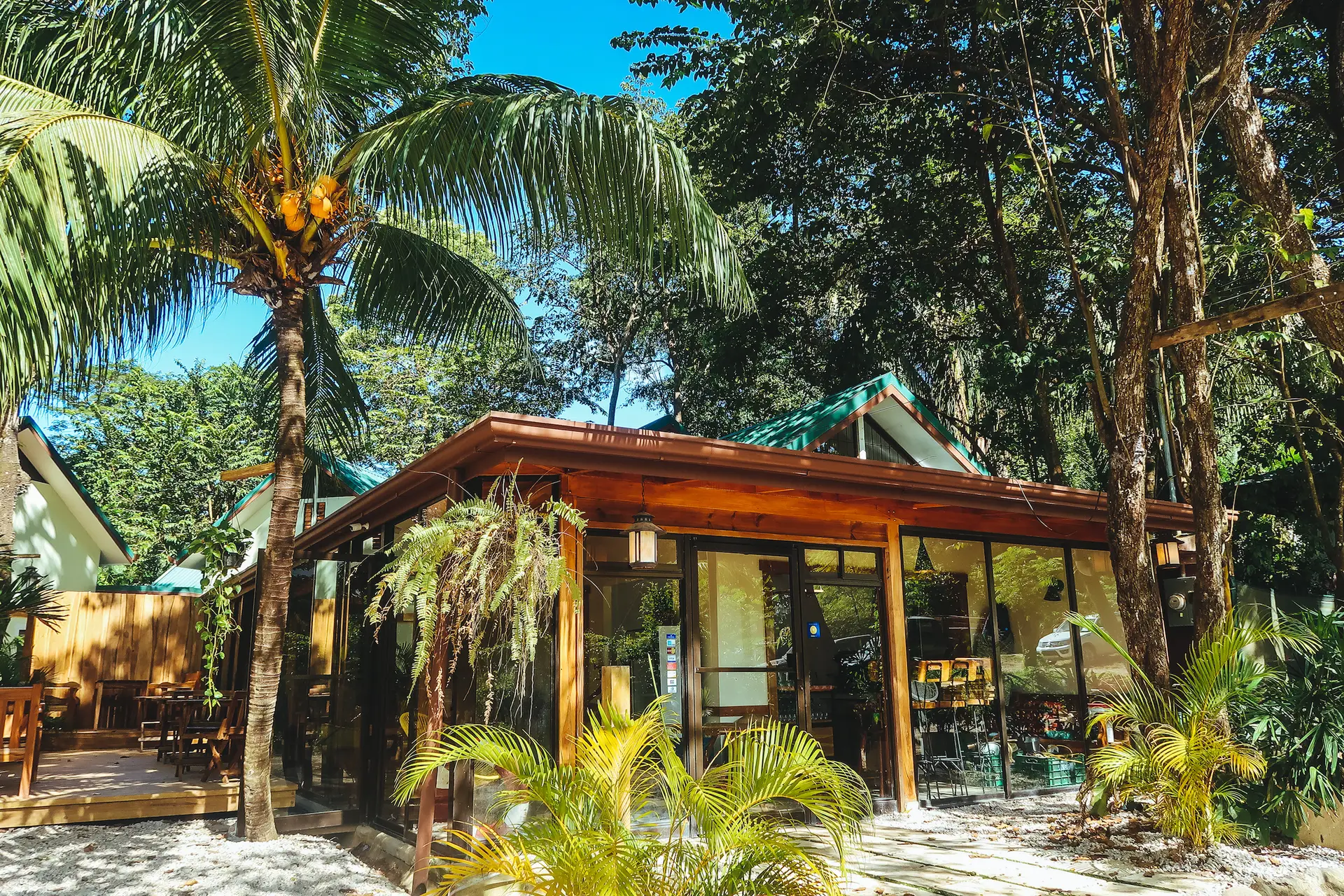 Surfcamp Costa Rica bei Santa Teresa im tropischen Regenwald