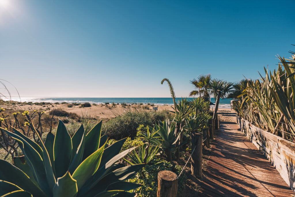 24_plus-surfcamp-caparica-portugal-strand