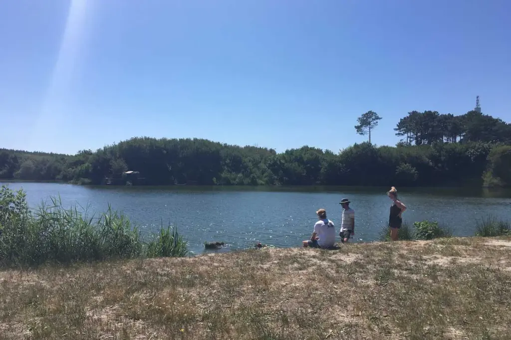 filters_quality_(70) (19)