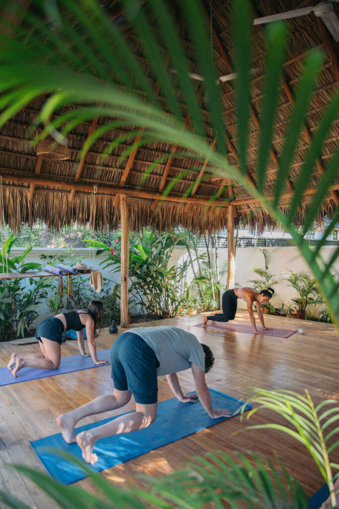 surfcamp-costarica-avallanas-yoga