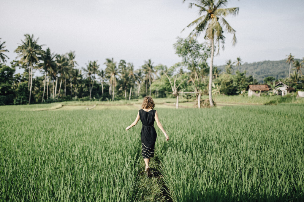 surfcamp-indo-uluwatu-ricefeld