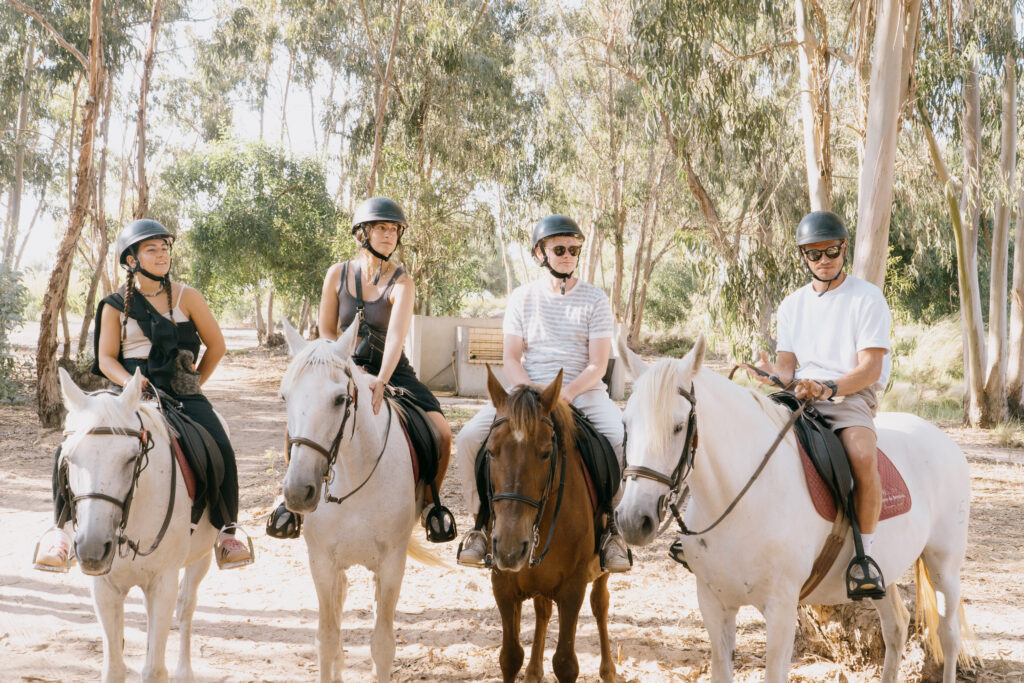 surfcamp-port-alentejo-pony