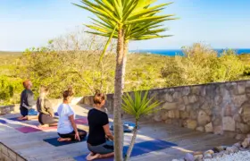 Yoga in der Surflodge