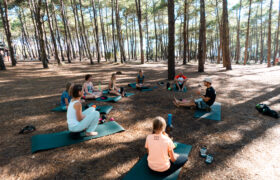Yoga unter den Pinien
