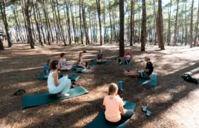 Yoga unter den Pinien