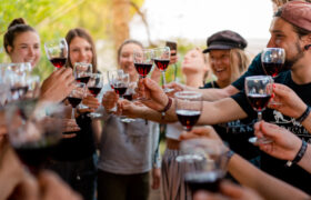 Wine & Cheese Tasting im 24+