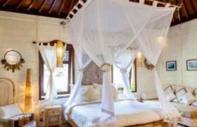 Mondo-Surf-Rinjani-Bungalow-01-oa0ej1qbmn48av0v5tjscm251drjgvn39yj2g7kba8