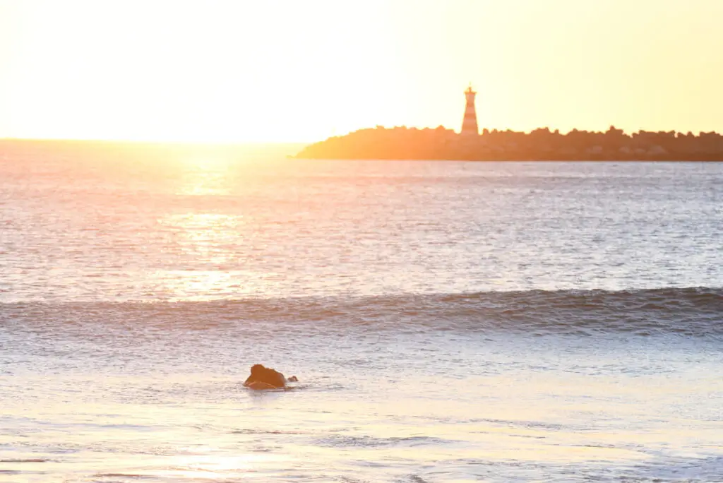Shark's Lodge Ferrel Portugal_waiting for the wave