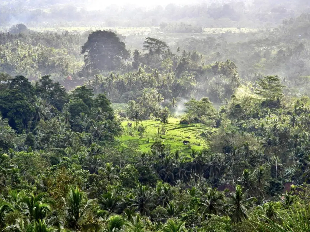 surfcamp-lombok-nature